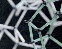 Research interets : Biological Physics and Systems Science