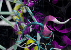 Research interets : Biological Physics and Systems Science