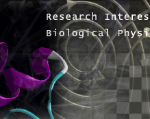 Research interets : Biological Physics and Systems Science