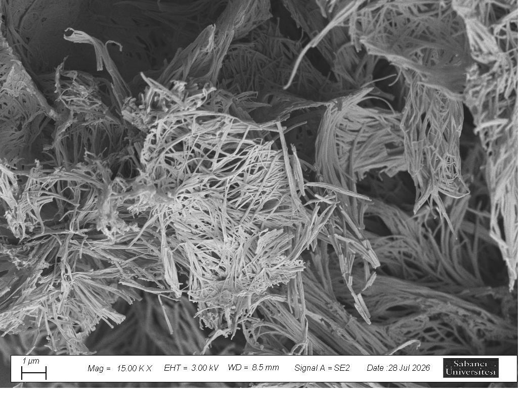 Scanning electron micrograph of bundled boron nitride nanofibrils