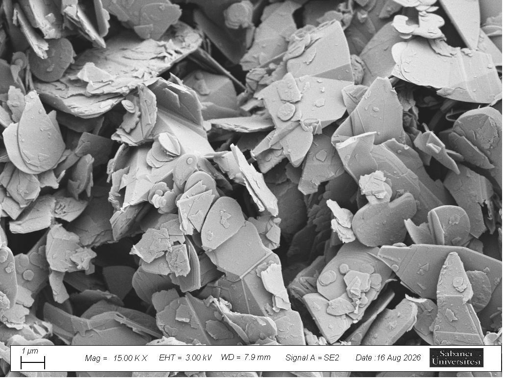 Scanning electron micrograph of faceted hexagonal boron nitride platelets