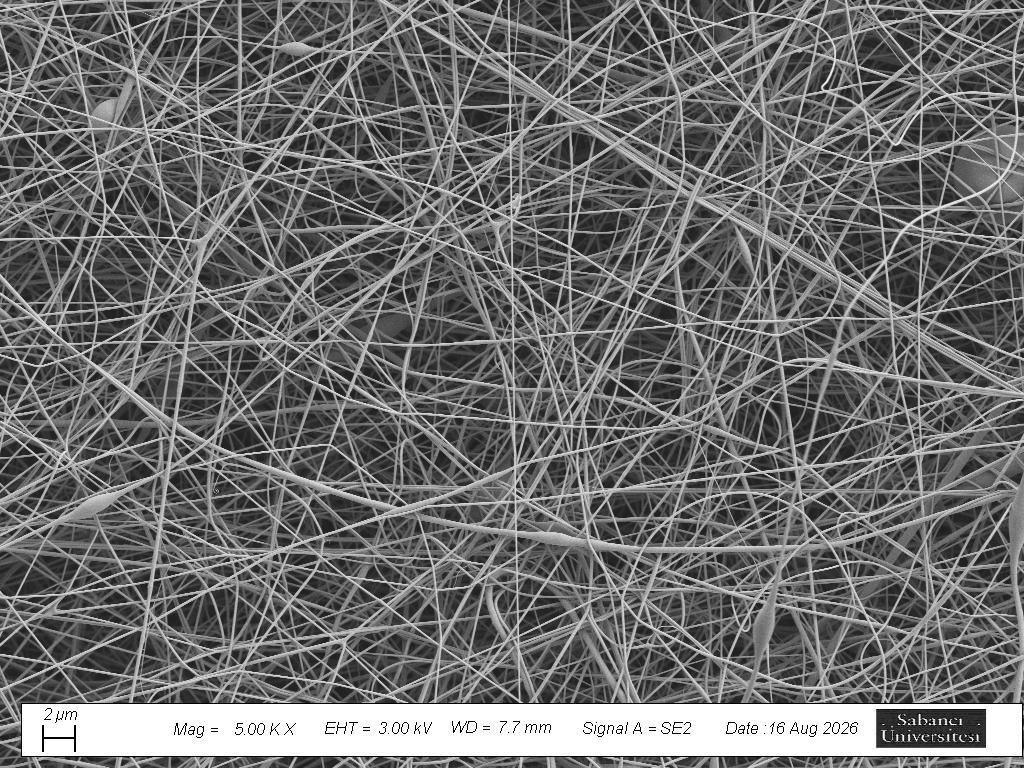 Scanning electron micrograph of an electrospun sulfonated poly(ether ether ketone) nanofiber mat