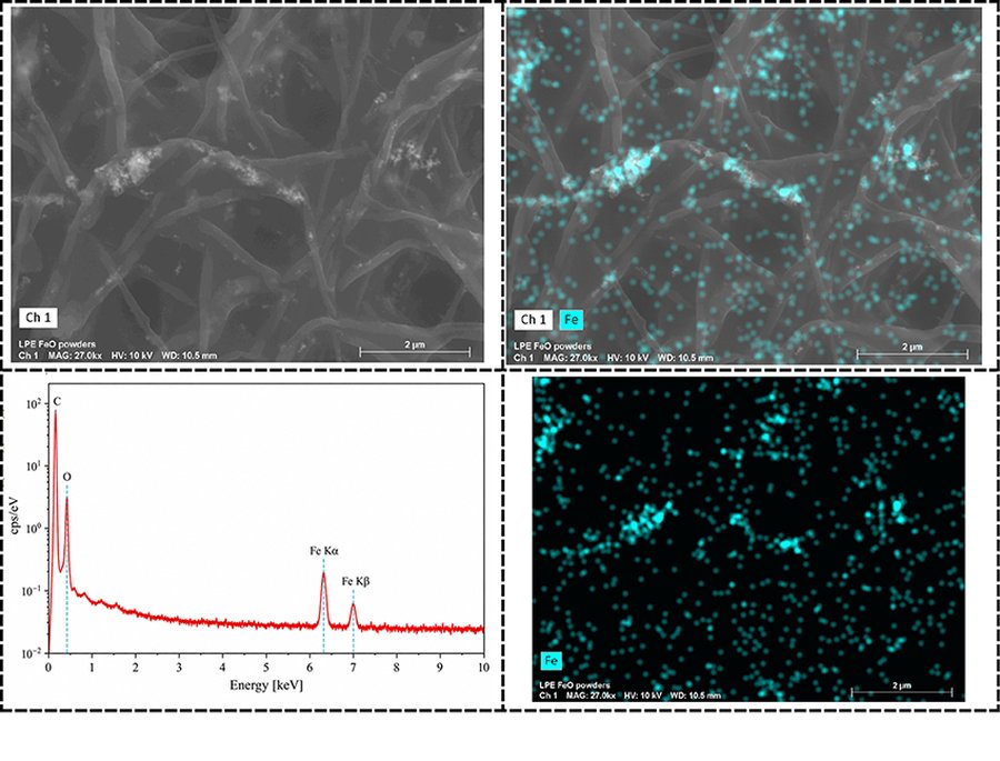 Scanning electron micrographs with corresponding energy dispersive X-ray elemental maps