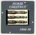 Horse chestnut: CLICK TO VIEW PHOTOGRAPH