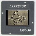 Larkspur: CLICK TO VIEW PHOTOGRAPH