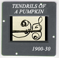 Tendrils of a pumpkin: CLICK TO VIEW PHOTOGRAPH