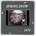 Spring Snow: CLICK TO VIEW PHOTOGRAPH