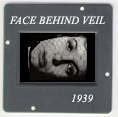 Face Behind Veil: CLICK TO VIEW PHOTOGRAPH