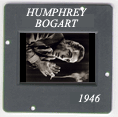 Bogart: CLICK TO VIEW PHOTOGRAPH