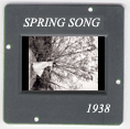 Spring: CLICK TO VIEW PHOTOGRAPH