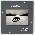 France: CLICK TO VIEW PHOTOGRAPH