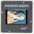 Phoenix Rising: CLICK TO VIEW PHOTOGRAPH