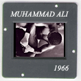 Muhammad Ali: CLICK TO VIEW PHOTOGRAPH