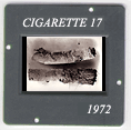 Cigarette 17: CLICK TO VIEW PHOTOGRAPH