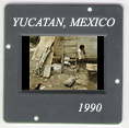 Yucatan: CLICK TO VIEW PHOTOGRAPH