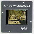 Tucson: CLICK TO VIEW PHOTOGRAPH
