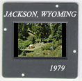 Wyoming: CLICK TO VIEW PHOTOGRAPH
