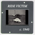 Ride Victim: CLICK TO VIEW PHOTOGRAPH