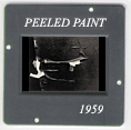 Peeled Paint: CLICK TO VIEW PHOTOGRAPH