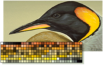 8-bit image with color palette.
